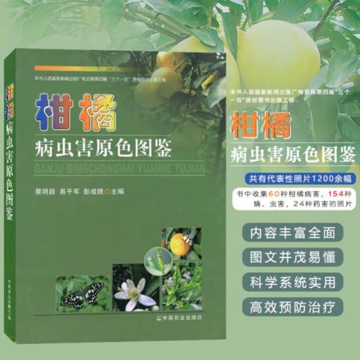 柑橘病虫害原色图鉴【中国农业出版社官方正版】  蔡明段主编 柑橘种植必备 柑橘实用 商品图0