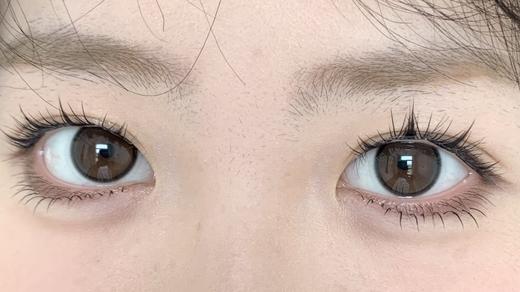 Toffee日抛--失落世界 商品图8