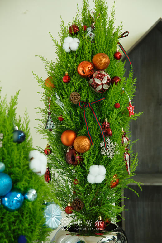 氛围感香松1.1m（颜色随机） 商品图2