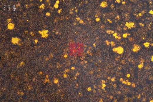 三希堂  流霞系列  丛林魅影壶承 商品图7