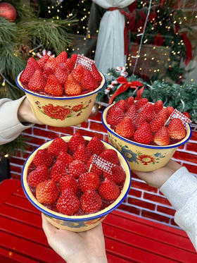 抱盆吃蛋糕❗️搪瓷盆草莓蛋糕（送一把钢勺，中/大号额外送5人份普通餐具）