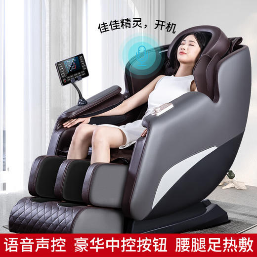 环派（huanpai）按摩椅 多功能太空舱按摩椅家用全自动电动按摩椅子H018 灰粽色 商品图0