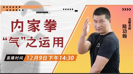 【12月9日】内家拳“气”之运用 商品图0
