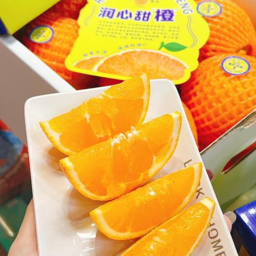 润心甜橙  | 水果 商品图1