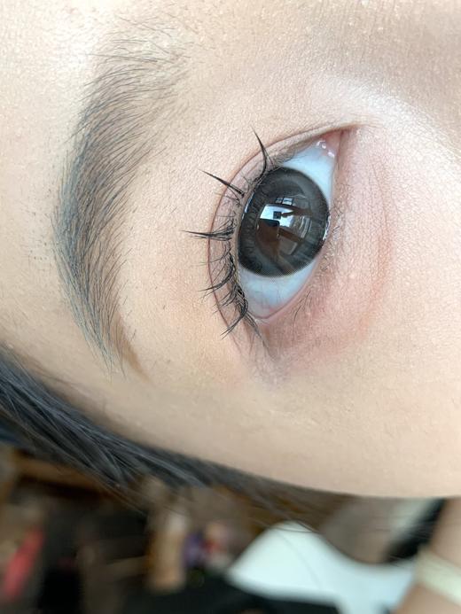 Toffee日抛--泥泥黑灰 商品图8