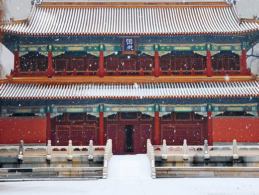 1月10日冬雪！梦回紫禁城5天摄影研学 商品图0