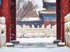 1月10日冬雪！梦回紫禁城5天摄影研学 商品缩略图5