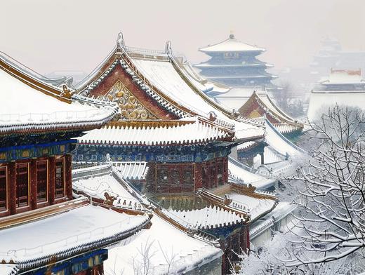 1月10日冬雪！梦回紫禁城5天摄影研学 商品图6