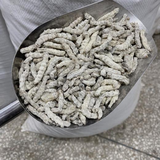 僵蚕 特级僵蚕 全玻璃心 商品图2