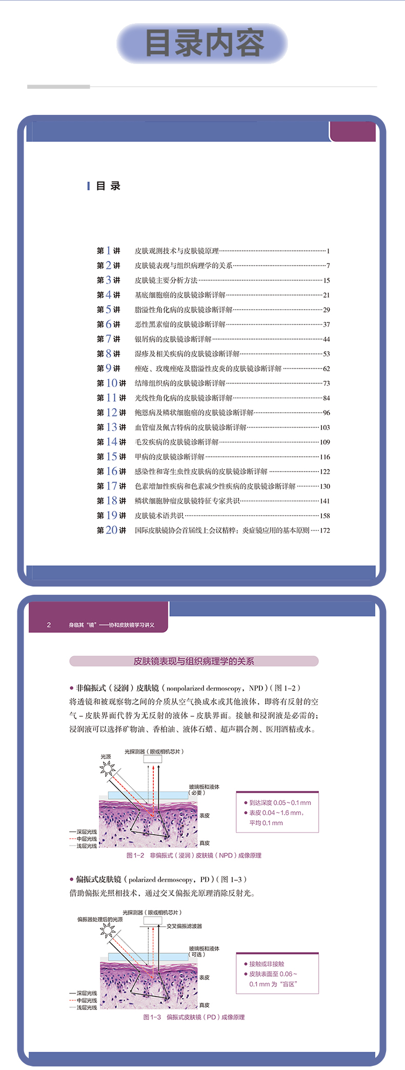 紫粉-1_05.jpg