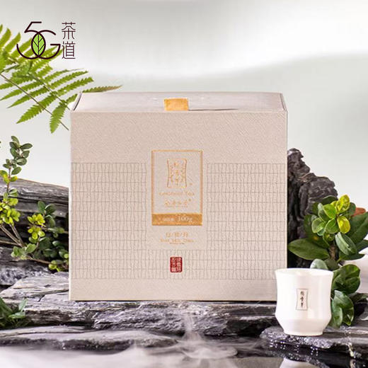 福鼎白茶丨绿雪芽 2023正方罐白牡丹散茶 礼盒装 300g 商品图0