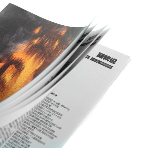 ECHO<<黄沙>>巡演周边:实体专辑 商品图5