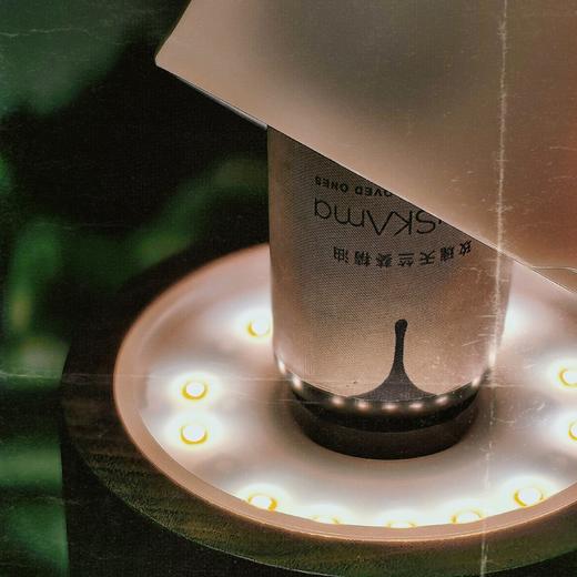 [屁侠.pippa]AyuSkAma 玫瑰天竺葵精油 10ml 商品图0