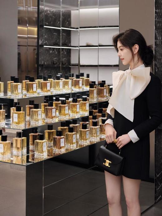 赛琳凯旋门TeenNino新款凯旋门收袋手拿斜挎包满满高级感（HH） 商品图1