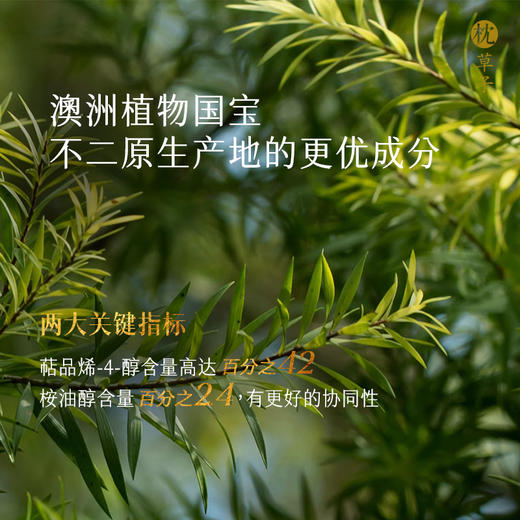 W1015枕草子 茶树精油 5ml 植物萃取 温和亲肤 商品图2