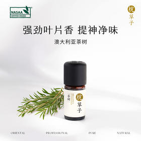 W1015枕草子 茶树精油 5ml 植物萃取 温和亲肤