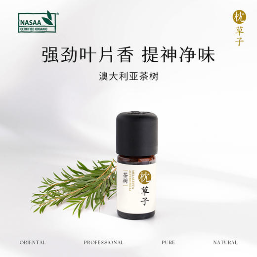 W1015枕草子 茶树精油 5ml 植物萃取 温和亲肤 商品图0