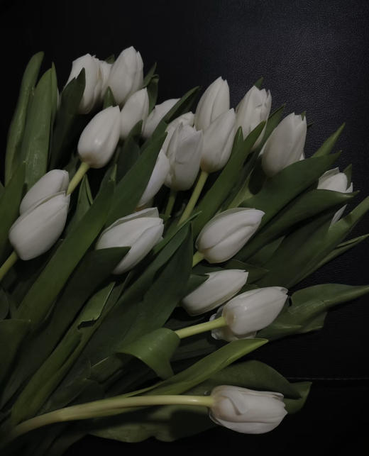 【国产郁金香】维珍-白色  约10枝/扎 商品图0