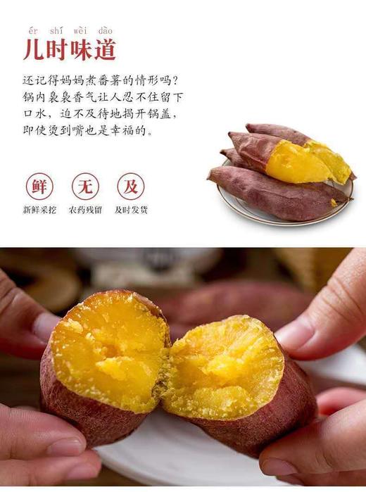 八乡瑰宝·西瓜红蜜薯-榴莲香薯 商品图3