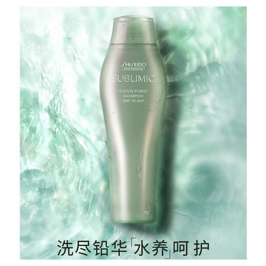 资生堂 芯护理道芳氛干性头皮洗发露 250ml/瓶 商品图2