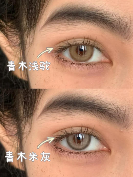 Serltyca 半年抛 商品图2