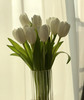 【国产郁金香】维珍-白色  约10枝/扎 商品缩略图5