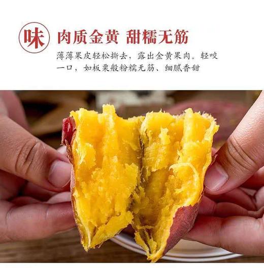 八乡瑰宝·西瓜红蜜薯-榴莲香薯 商品图4