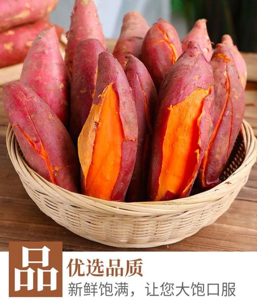 八乡瑰宝·西瓜红蜜薯-榴莲香薯 商品图1