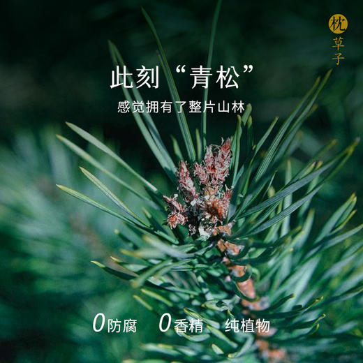 W1001青松沐浴油  300ml 商品图3