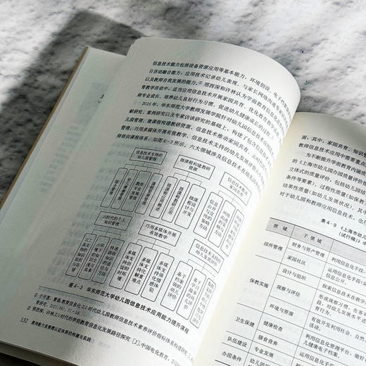 教师能力发展微认证体系的构建与实践 商品图4