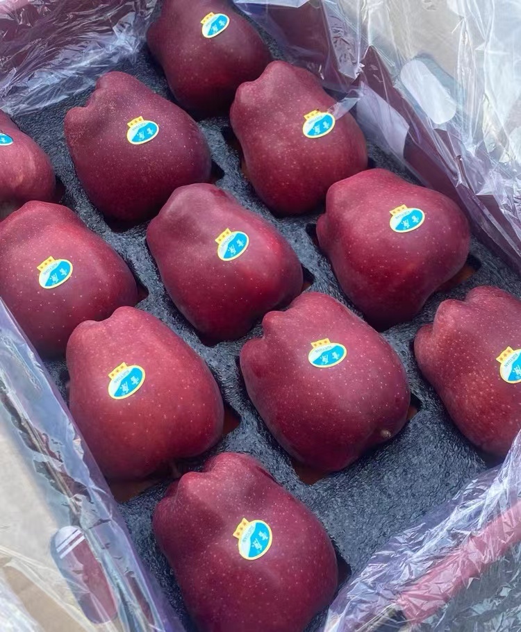 甘肃秦安雪原花牛苹果