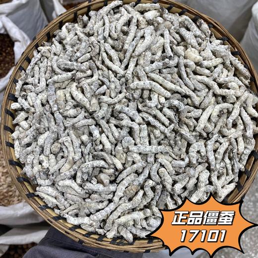 僵蚕 特级僵蚕 全玻璃心 商品图0