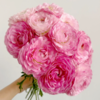 日系丨麦浪洋牡丹丨10支【稀有】 商品缩略图1