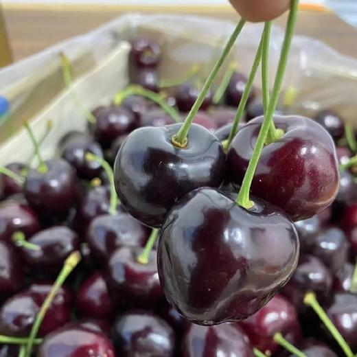 奥数车厘子（2JD） 商品图1