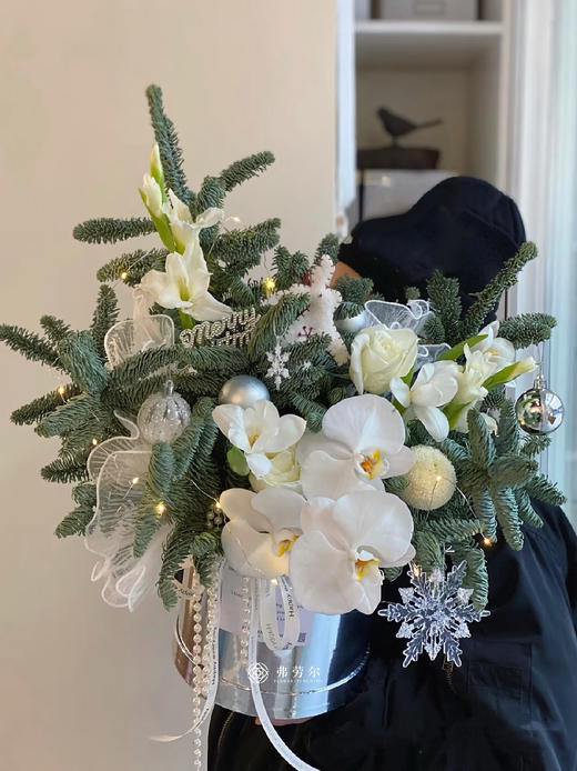 圣诞雪松 商品图0