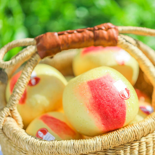 好物甄选 天妃一抹红苹果 8颗/盒（85mm+，净重4.5-5斤） 商品图1