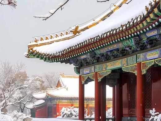 1月10日冬雪！梦回紫禁城5天摄影研学 商品图4