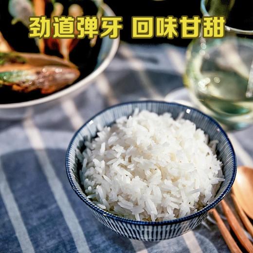 疯抢中！！泰国香米国际认证！【泰国原装进口茉莉香米】0香精无勾兑 长粒饱满口感软糯 劲道好吃 商品图10