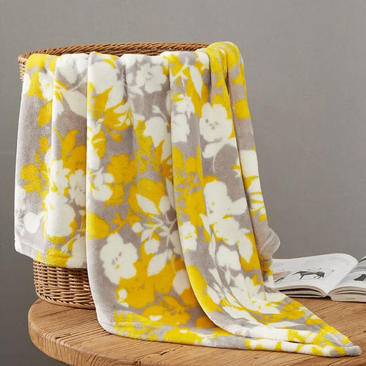 【多样屋专柜】多样屋法兰绒盖毯办公室家用午睡盖腿毯亲肤柔软空调毯 80*100cm 商品图3