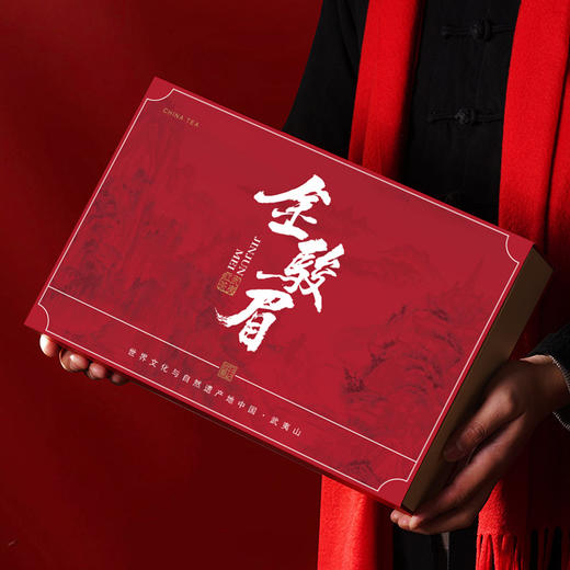 【正山小种金骏眉红茶】武夷山茶叶礼盒装 礼品送礼年货伴手礼  商品图5