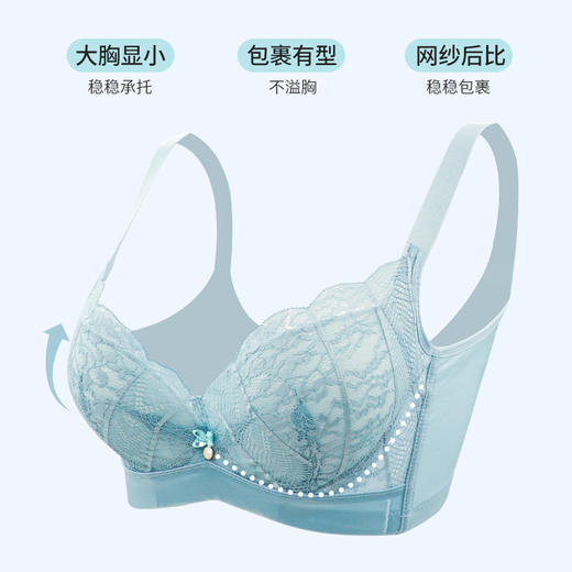 贝佳人花漾”全罩薄模杯防下垂侧收副乳大胸显小内衣薄款BW902102 商品图3