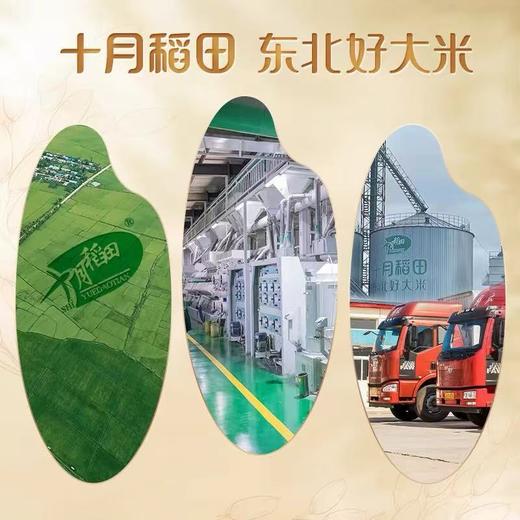十月稻香长粒米 5kg 商品图1