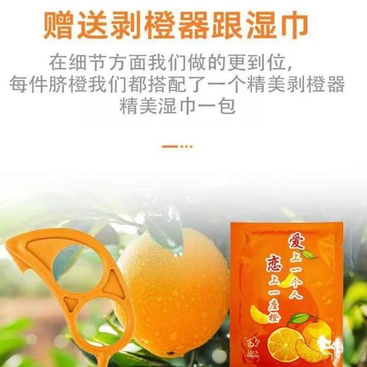 赣南脐橙新鲜维C水果鲜橙上市季赣南脐橙 江西赣南脐橙可食率达85%含果汁55%以上有"中华名果” 商品图1