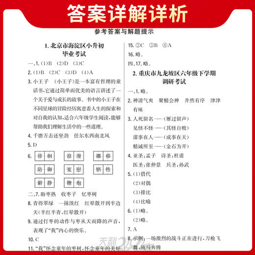 天利38套 2025小学毕业考试题精编 语文 数学 英语 商品图6