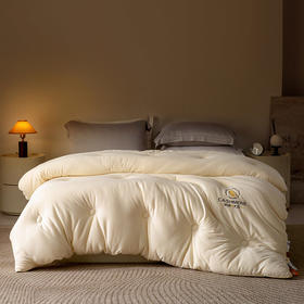 火山绒李官奇大豆冬被  绵软加厚保暖子母被