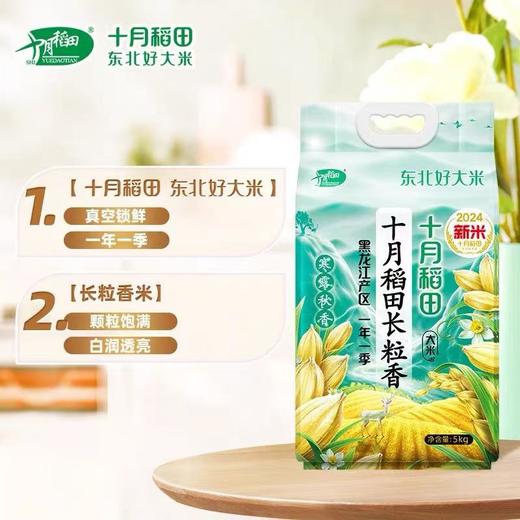 十月稻香长粒米 5kg 商品图0