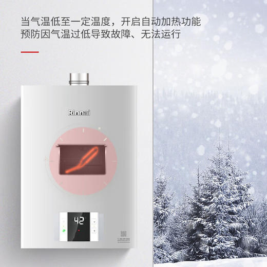林内（Rinnai）燃气热水器 智能APP&语音双控制 恒温防冻 S42W 天然气 16QS42W 商品图3