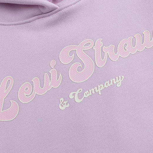 LEVIS 冬 大童小童 儿童童装卫衣 LVG-PO-M478 商品图3