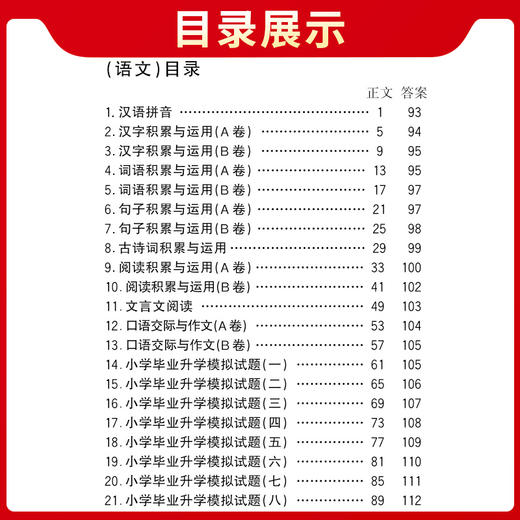 天利38套 2025小学总复习专项测练 语文 数学 英语 商品图5