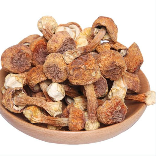 【通江扶贫】通江县深山良品姬松茸250g 商品图1